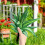 Garden Signs For Vegetables Stake Acrylic Decorative 1set 5