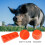 4 Compartiments Abreuvoir Porcs Orange PP Résistant Usage Nettoyage 9