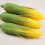 4Pcs Lifelike Artificial Corn Models Multi-Color Plastic Kitchen Decor 10