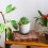 8Pcs Plastic Square Bonsai Tray Durable Planter Saucer 11