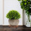 2Pièces Support Pot Plante Bois PP Usage Intérieur Extérieur 2