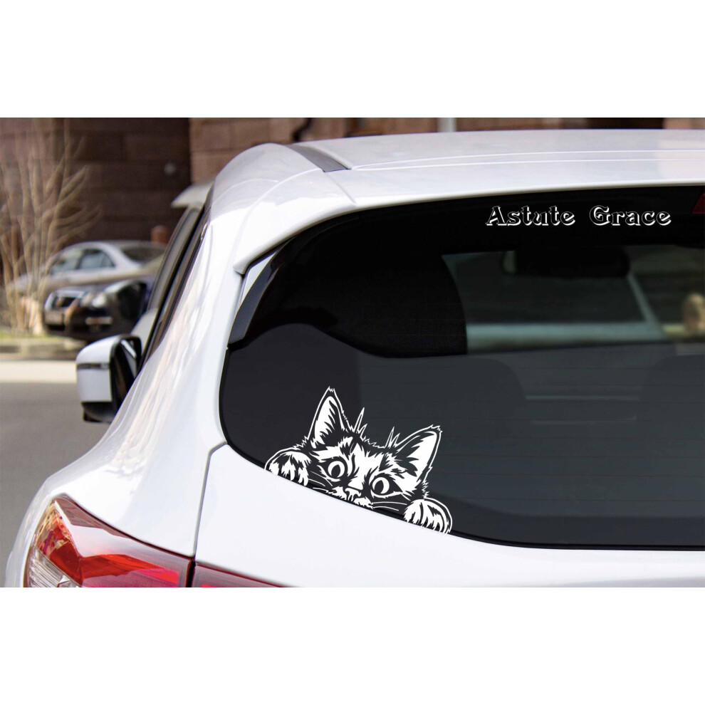 Cute Peeking Cat Vinyl Car Window And Bumper Sticker Durable Weatherproof Decal White 9053599977582