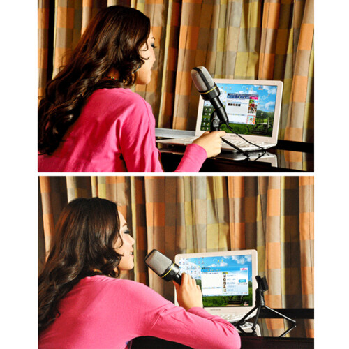 3 .5mm Retro Microphone Recording Desk Desktop For Karaoke Singing 2