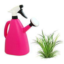 Plant Mister and Watering Can with Dual Spray Modes, 1L Plastic for Indoor Plants and Succulents