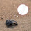 4Pcs Turtle Floating Platform Acrylic Reptile Climbing Terrace 10