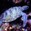 1Pack Assorted Color Smooth Natural Pebbles Fish Tank Accessories 9