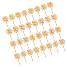40Pcs Khaki Wood Plant Markers for Garden Pointed Durable Labels