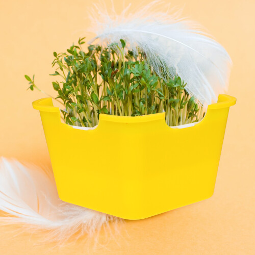3Pcs Yellow Durable Plastic Gardening Trays for Home Seed Sprouting 2