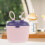 Blue Portable Baby Snack Container Protein Powder Dispenser 4