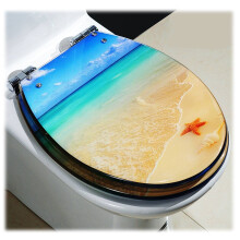 Soft Close Quick Release Toilet Seat with Adjustable Stainless Steel Hinges, Resin Oval 42x36cm Sandy Beach Pattern