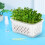 2 Pcs Sprouting Tray Growing Alfalfa Transparent Pot Seeds 4