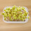 2 Pcs Sprouting Tray Growing Alfalfa Transparent Pot Seeds 9