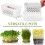 2 Pcs Sprouting Tray Growing Alfalfa Transparent Pot Seeds 10