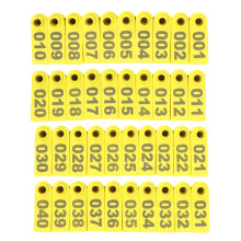 12pcs Milestone Cards Decorative Monthly Signs For Shower Growth Tracking Natural Skin Friendly Wood For Capturing Special Moments