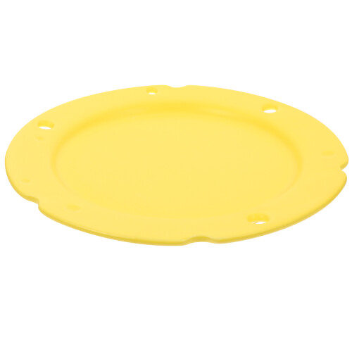 Cheese Ceramic Plate Ceramics Platter Delicate