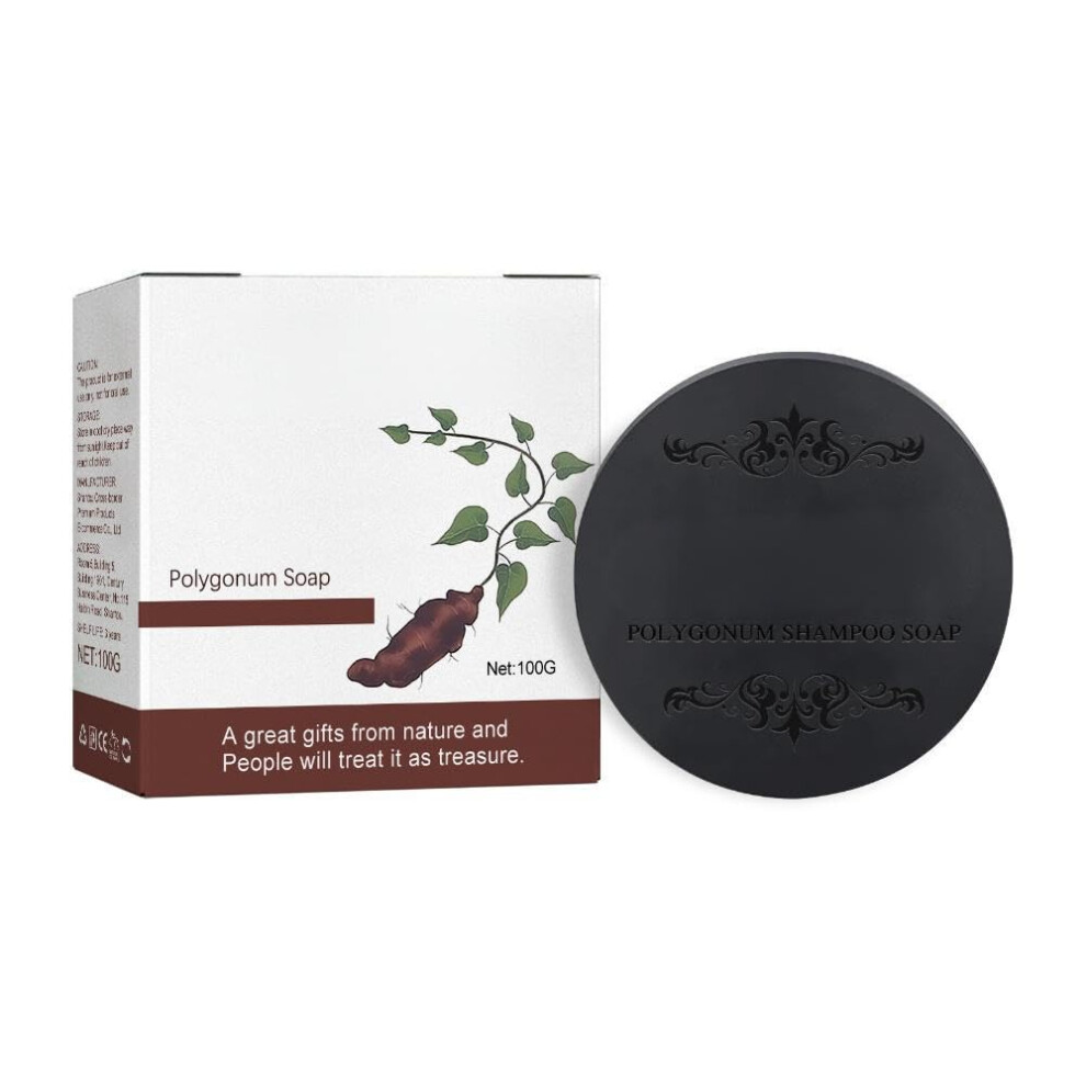 Hair Loss Shampoo for Men with Polygonum Extract, Ginger and Ginseng, Beard Growth Support 100g