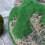 Aquarium Floating Decorations Floating Rock Multi 1pack 6