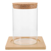 Glass Terrarium with Stopper Small Clear Jar for Hydroponic Plants