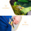 Durable Tin Snips With Dualcolor Grip For Industrial Use 2pcs 9