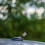 Aluminium Witte Antenne Auto Bling Waterdicht Elegant Design 4