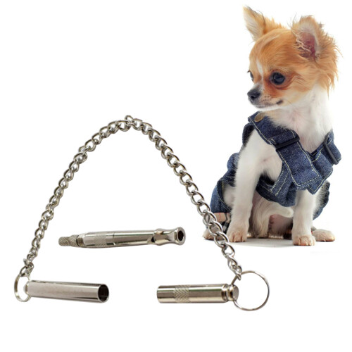Silver Ultrasonic Dog Whistle for Fast Training with Lanyard