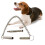 Silver Ultrasonic Dog Whistle for Fast Training with Lanyard 9