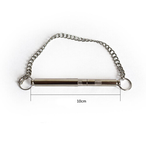 Silver Ultrasonic Dog Whistle for Fast Training with Lanyard 2