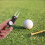 Compact Foldable Black Metal Golf Divot Tool for Ball Mark Repair 6