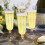 Clear Drinking Cups Wine Glass Footed Glass 24pcs 9