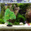 2pcs Fish Tank Tree Modeling Craft Underwater Tree Adornment Aquarium 8