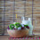 100Pcs Fruit Skewers Cocktail Picks Practical Tableware 3