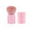 Makeup Brush Loose Powder Angled Face Applicators Cosmetic Supplies 1