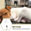 Automatic Pet Water Container Hanging Dispenser Cat Bottle For Dog 10