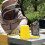 6Pcs Bee Watering Cups Plastic Bee Feeder for Hive Safe Durable 6