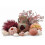 biOrb Aquarium Fish Tank Decor Set 15L Lost Vase 1