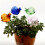 1Pc Plants Drip Sprinkler Glass Automatic Watering Device 7