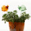 1Pc Plants Drip Sprinkler Glass Automatic Watering Device 9