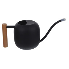 Stainless Steel Long Spout Watering Can with Ergonomic Handle for Indoor Plants and Seedlings