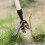 Weed Puller Tool Iron Claw Head for EffortSaving Root Removal and Garden Weeding 2