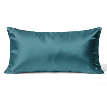 Standard Size Silky Pillow Protector with Durable Zipper for Hair and Skin Bedroom Dorm Decor 20x26in