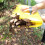 2Pcs Large Leaf Scoops Handheld Garden Rake with Ergonomic Grip for Yard Work and Leaf Collection 2