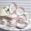 Ceramic Rice Bowl Set 5Inch DoubleEared Design Microwave Dishwasher Safe Scratch Resistant 2Pack 4