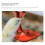 30Pcs Portable Chicken Water Nipples Chick Practical Chicken Waterer 5
