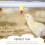 30Pcs Portable Chicken Water Nipples Chick Practical Chicken Waterer 2