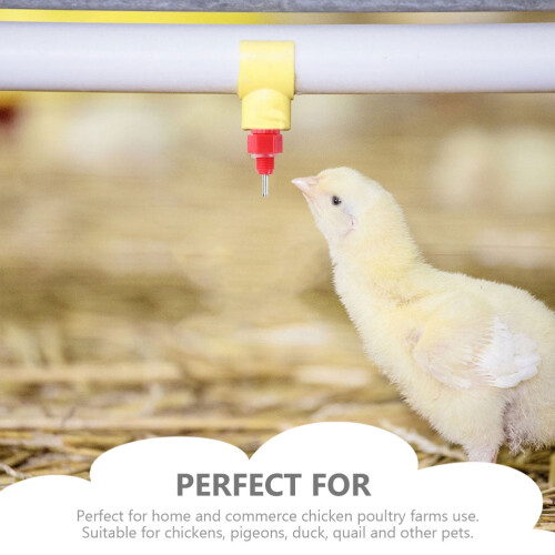 30Pcs Portable Chicken Water Nipples Chick Practical Chicken Waterer 1