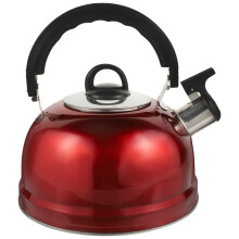 Stainless Steel Whistling Tea Kettle for Stovetop and Induction with Fast Heating and Ergonomic Handle