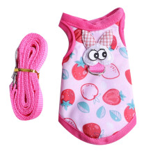 Guinea Pig Harness and Leash Rabbit Vest for Walking Small Ferret Chinchilla Hamster Squirrel Cute Costume 2 Sizes