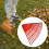 21 Tines Lawn Rake Head Replacement for Efficient Leaf Removal, Lightweight Plastic, Red 3