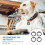 4 Pcs Dog Tags Pet Supplies Accessories 2