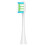 Oclean electric toothbrush heads – 2-pack & 4-pack grey 2pack 7